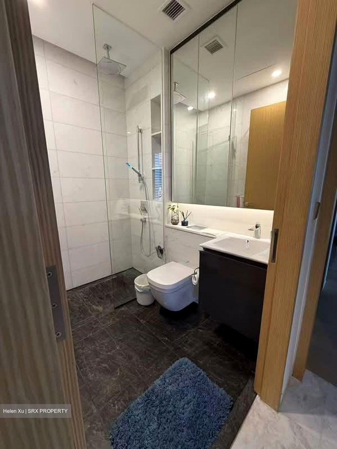 Cairnhill 16 (D9), Apartment #533776741